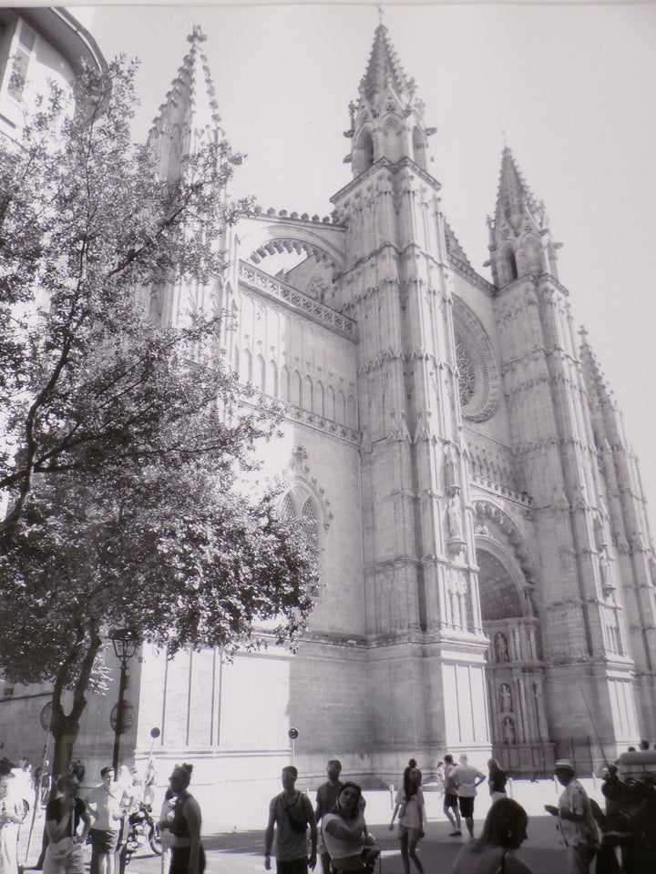 Picture, Palma Cathedral, Mallorca, August 4, 2025