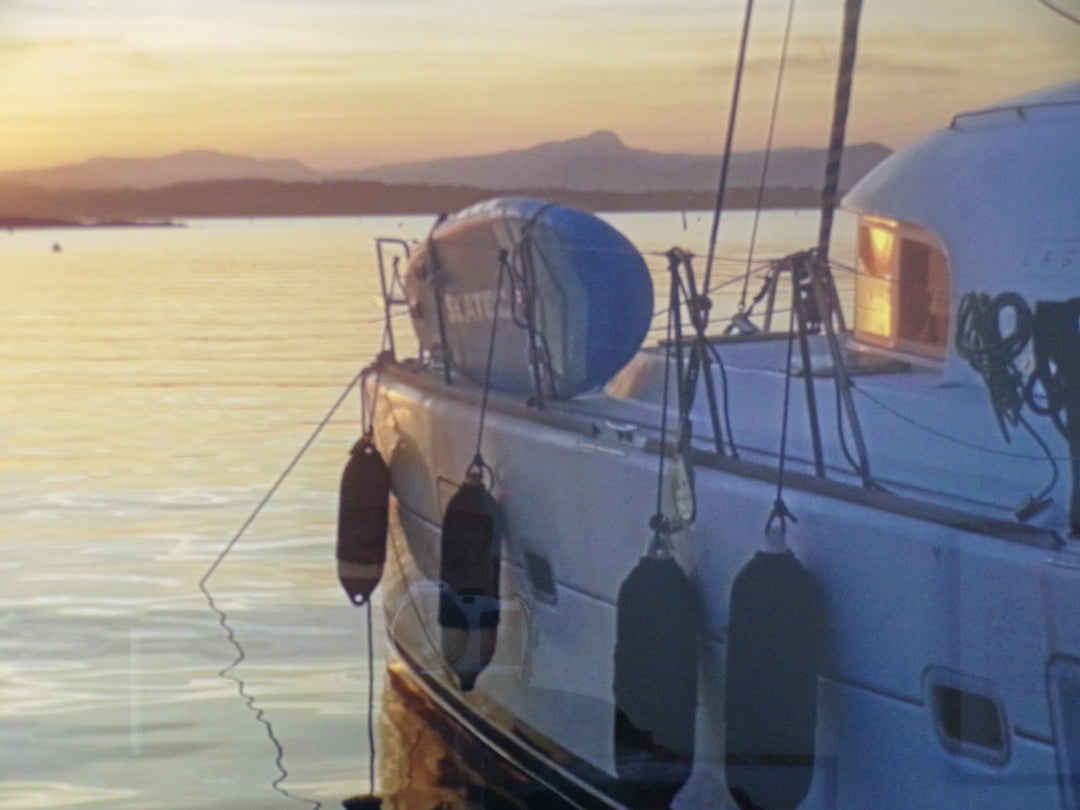 Porquerolles Island coastline
